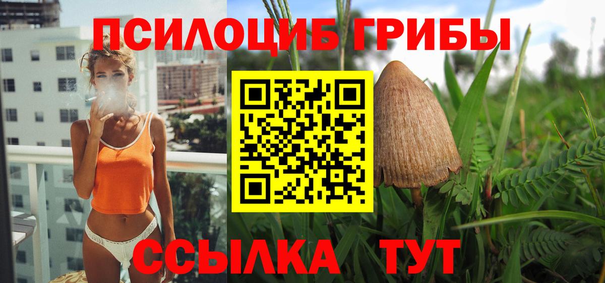 Псилоцибиновые грибы GOLDEN TEACHER Ульяновск