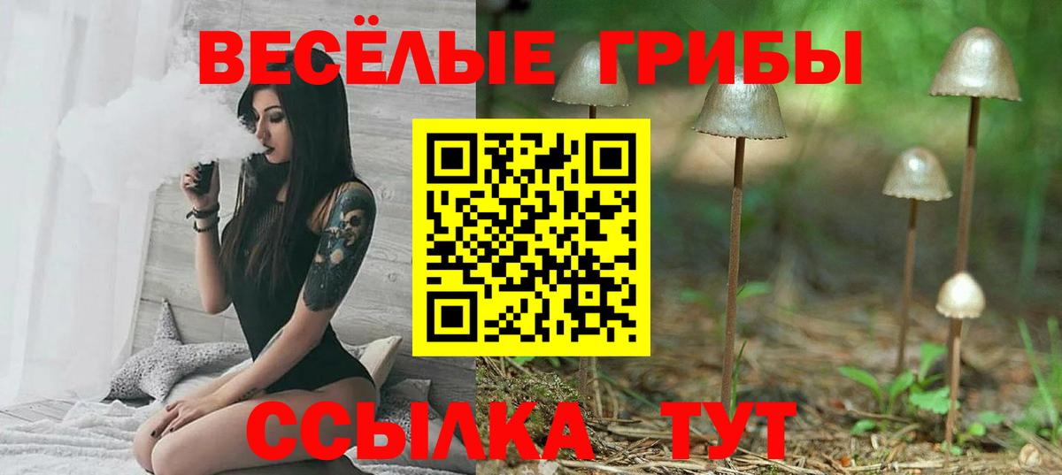 Галлюциногенные грибы мухоморы  Вход с VPN  Галлюциногенные грибы GOLDEN TEACHER  Ульяновск 